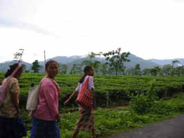 Darjeeling